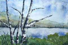 Aquarellbild-Birken-am-Fluss-30x40-01-2026